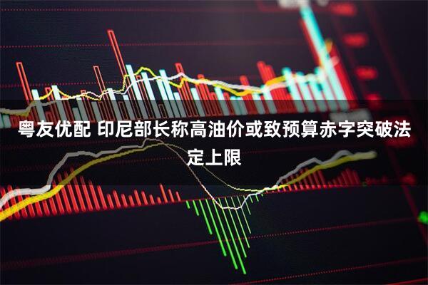 粤友优配 印尼部长称高油价或致预算赤字突破法定上限