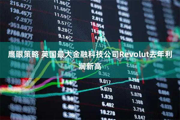 鹰眼策略 英国最大金融科技公司Revolut去年利润新高