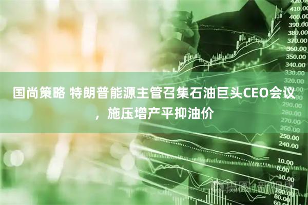 国尚策略 特朗普能源主管召集石油巨头CEO会议，施压增产平抑油价