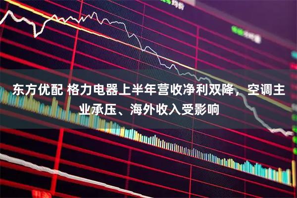 东方优配 格力电器上半年营收净利双降,空调主业承压、海外收入受影响